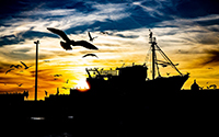 Essaouira