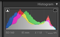 Histogram