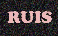 Ruis beheersen